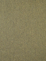 Scalamandre Boss Boucle Seaweed Fabric