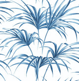 Seabrook Tropical Palm Leaf Coastal Blue Wallpaper