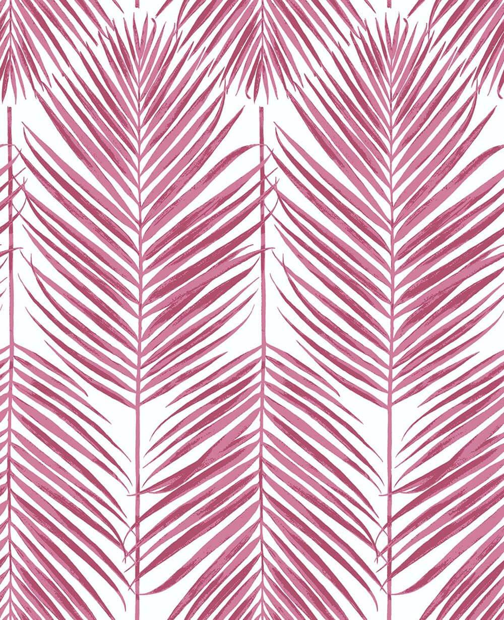 Seabrook Paradise Palm Cerise Pink Wallpaper
