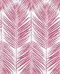 Seabrook Paradise Palm Cerise Pink Wallpaper