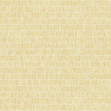 Seabrook Blue Grass Band Golden Wheat Wallpaper