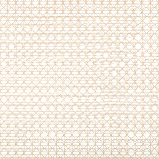 Kravet INTERSECTING FLAX Drapery Fabric