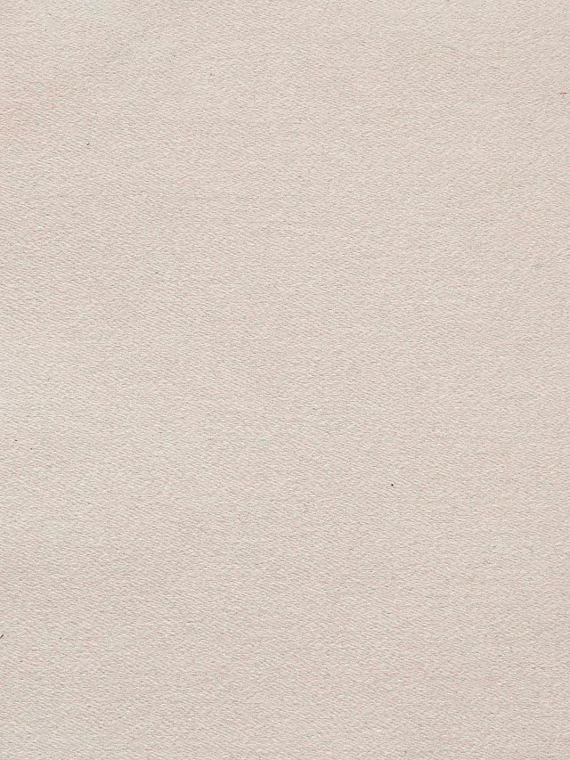 Scalamandre Dapper Flannel Eggshell Fabric