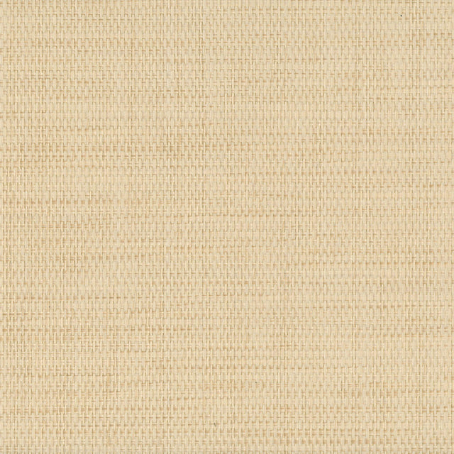 JF Fabrics 9048 Creme/Beige (20) Wallpaper