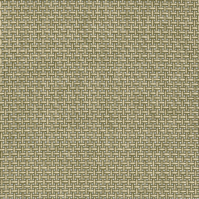 JF Fabrics 9077 Green (76) Wallpaper