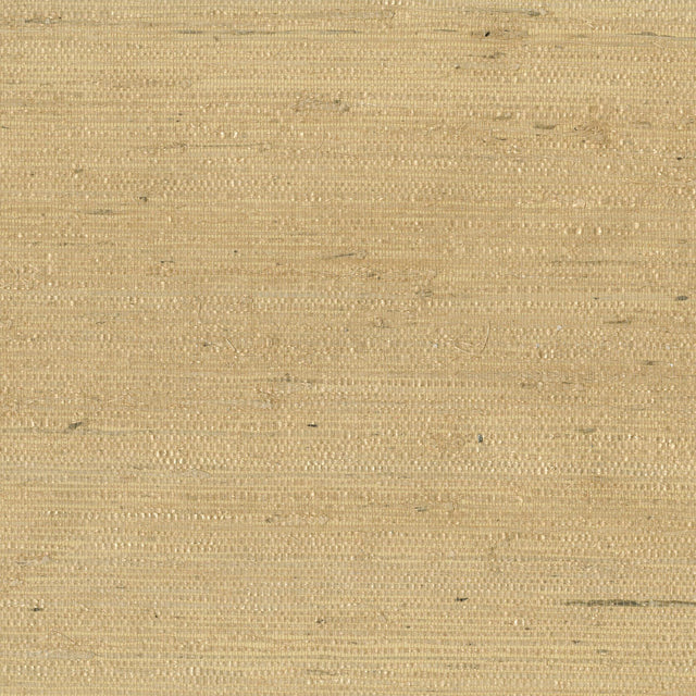 JF Fabrics 9089 Orange/Rust (20) Wallpaper