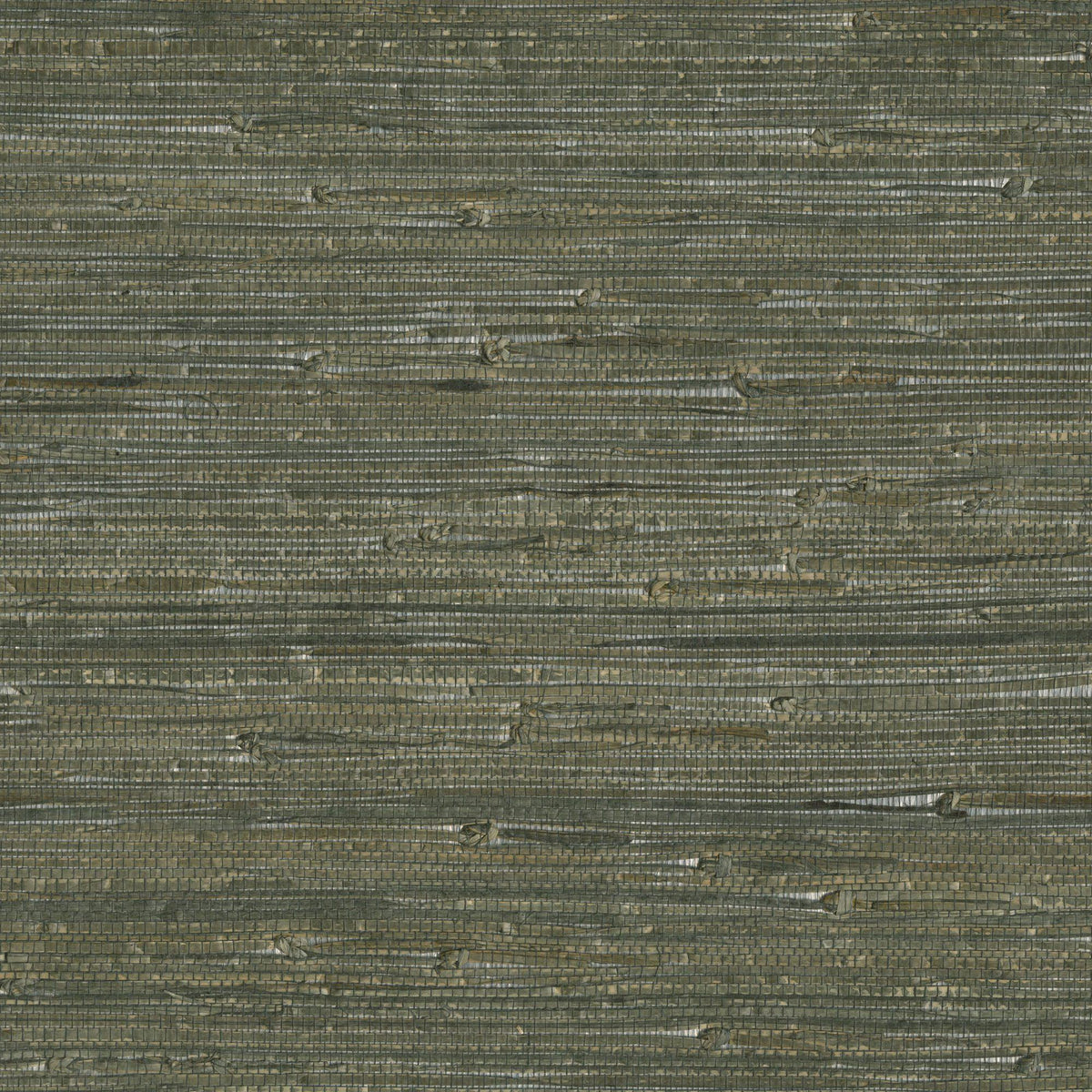 JF Fabrics 9034 Green (73) Wallpaper
