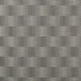 Kravet LINE DRAWING GRAPHITE Fabric