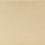 Kravet CASLIN LINEN Upholstery Fabric