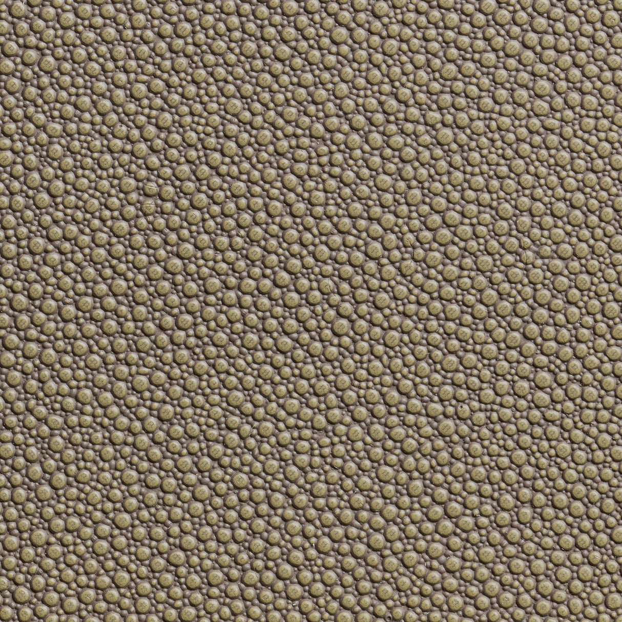 Kravet FETCH HEMP Upholstery Fabric