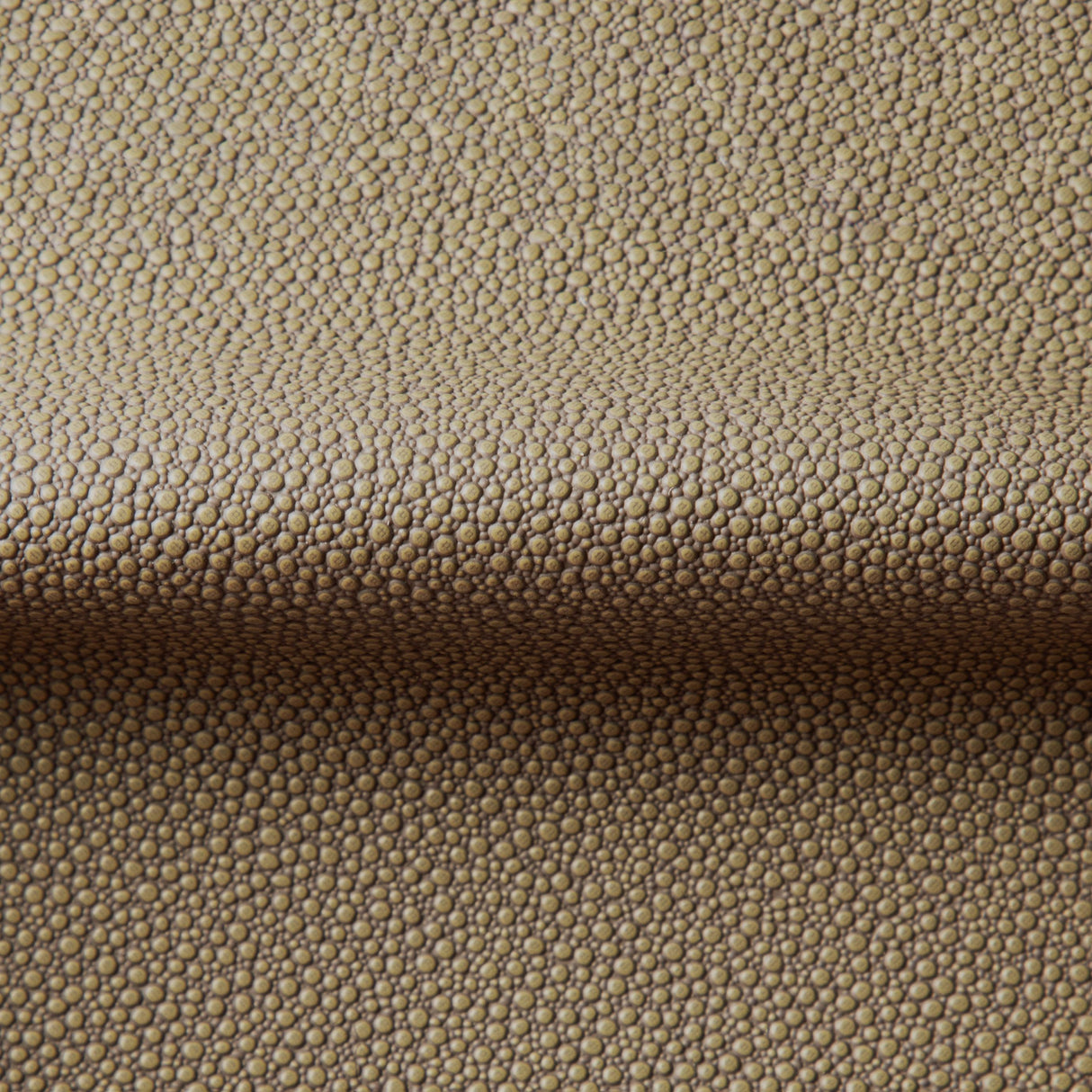 Kravet FETCH HEMP Upholstery Fabric