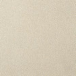 Kravet FETCH CHAMPAGNE Upholstery Fabric