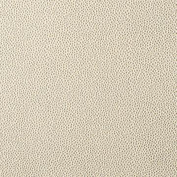 Kravet FETCH CHAMPAGNE Upholstery Fabric