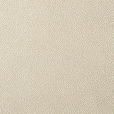 Kravet FETCH CHAMPAGNE Upholstery Fabric