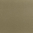 Kravet FETCH RADIANT Upholstery Fabric