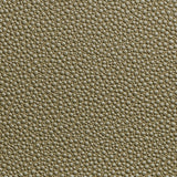 Kravet FETCH RADIANT Upholstery Fabric