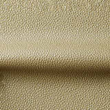 Kravet FETCH RADIANT Upholstery Fabric