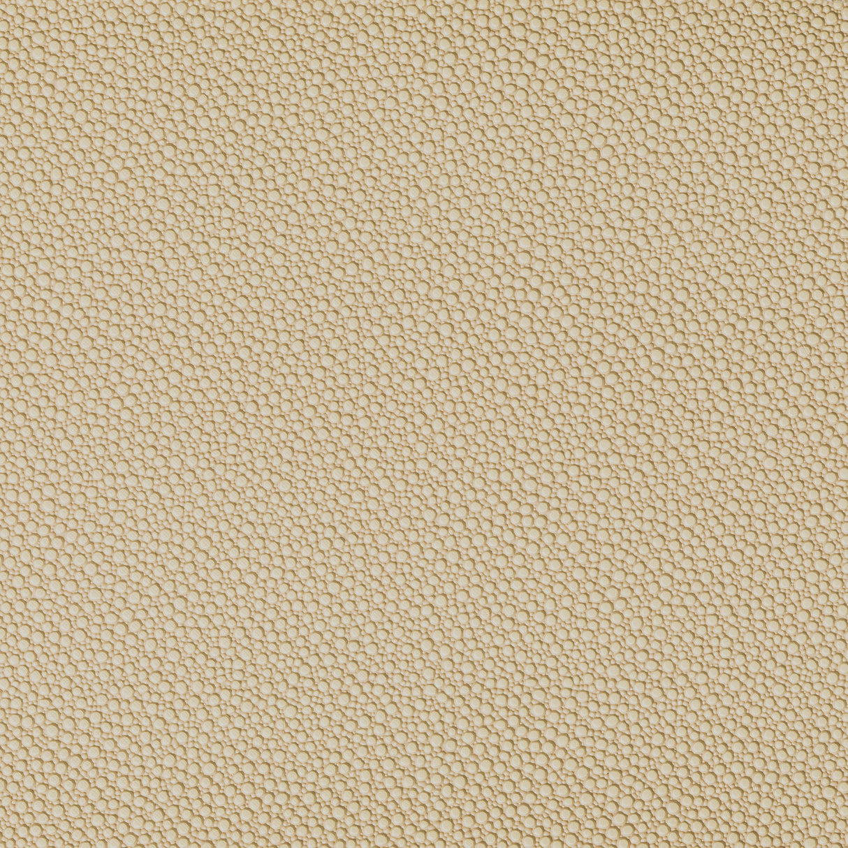 Kravet FETCH SANDBAR Upholstery Fabric