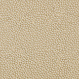 Kravet FETCH SANDBAR Upholstery Fabric