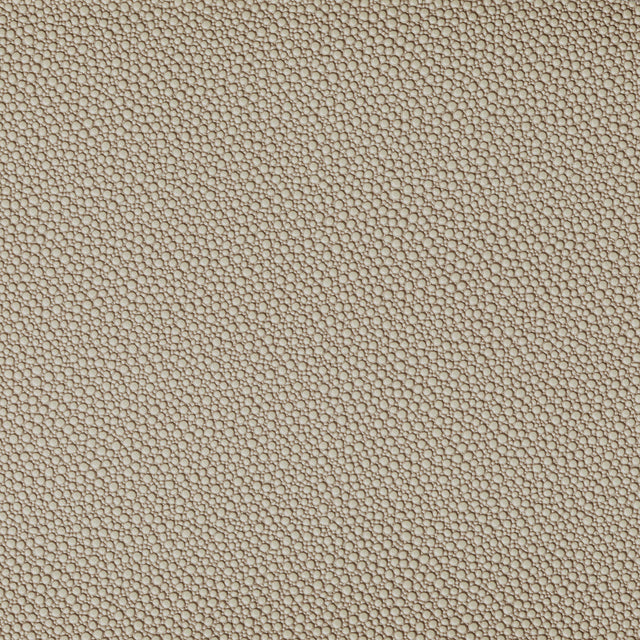 Kravet FETCH STONE Upholstery Fabric
