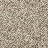 Kravet FETCH STONE Upholstery Fabric