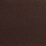 Kravet FETCH PENNY Upholstery Fabric