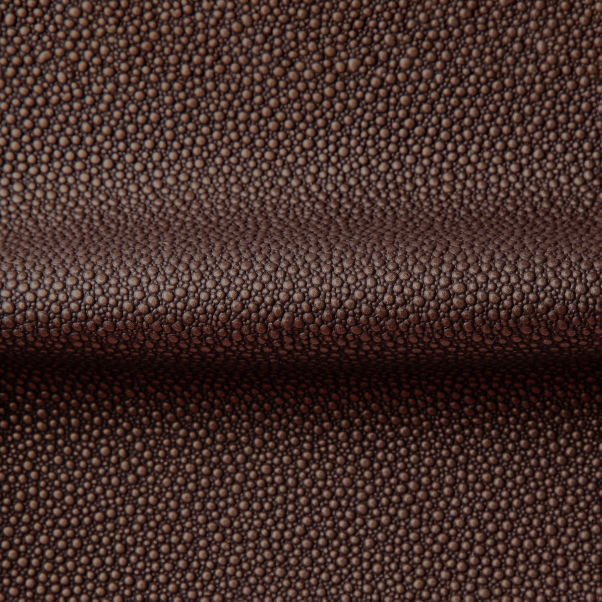 Kravet FETCH PENNY Upholstery Fabric