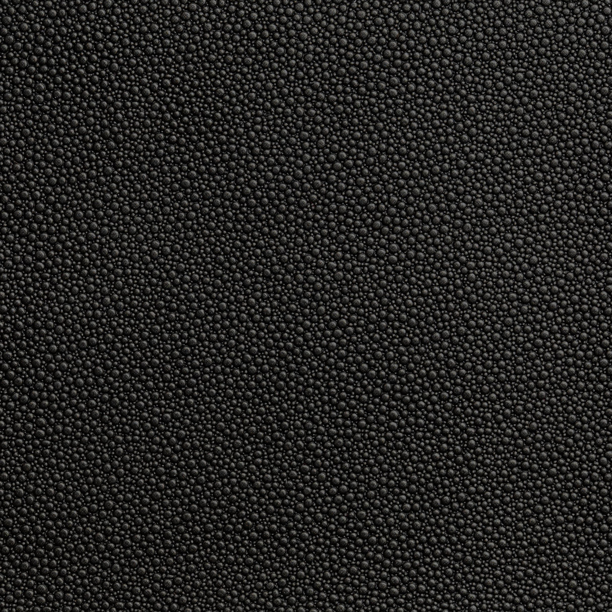 Kravet FETCH STALLION Upholstery Fabric