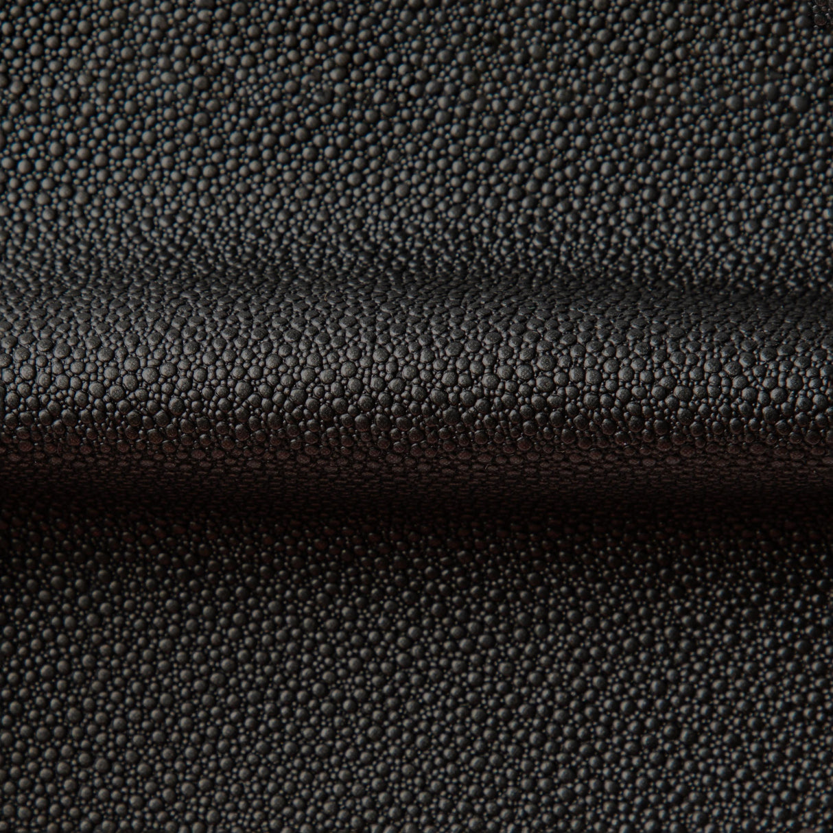 Kravet FETCH STALLION Upholstery Fabric