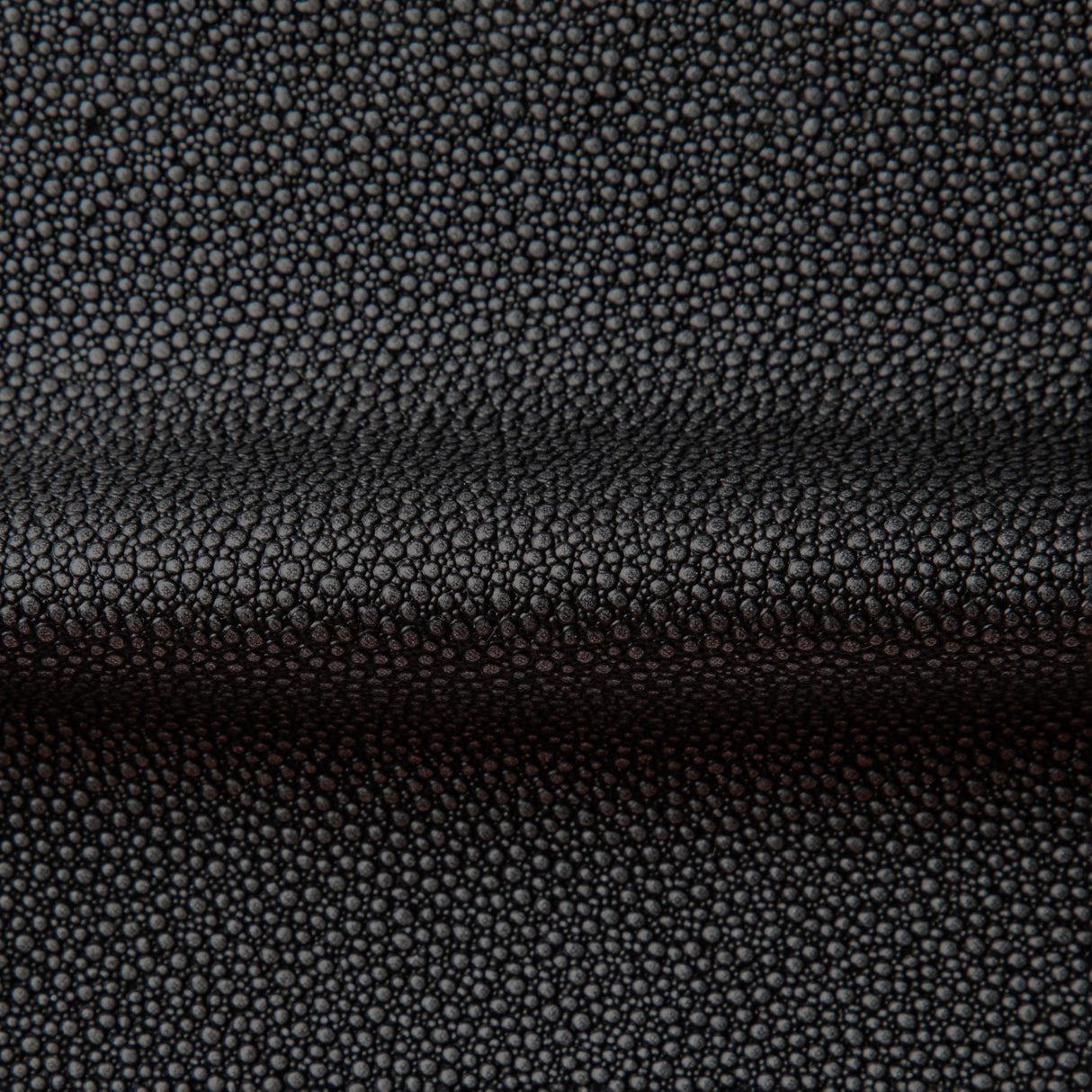 Kravet FETCH STARGAZER Upholstery Fabric