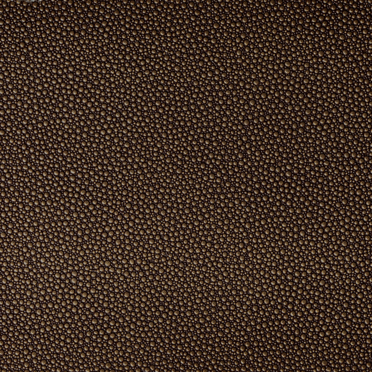 Kravet FETCH BURNISH Upholstery Fabric