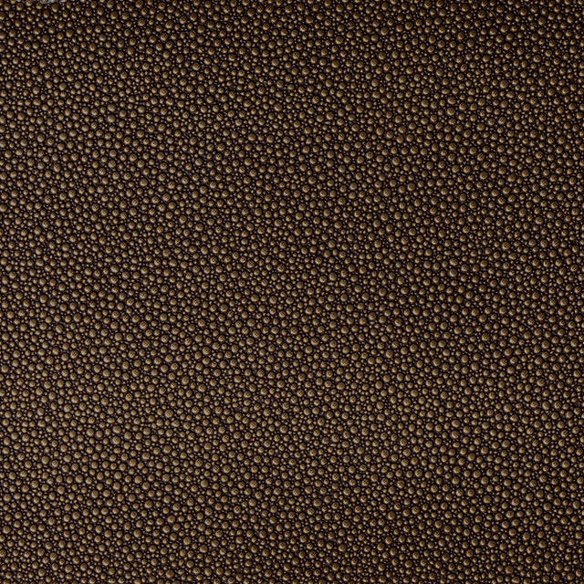 Kravet FETCH BURNISH Upholstery Fabric