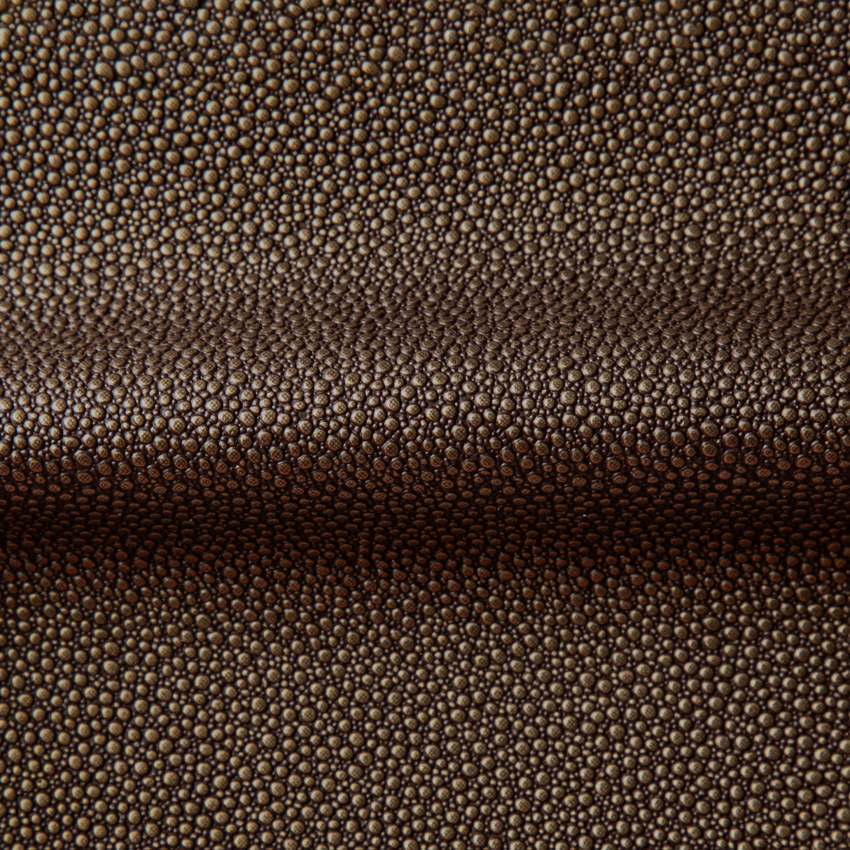 Kravet FETCH BURNISH Upholstery Fabric