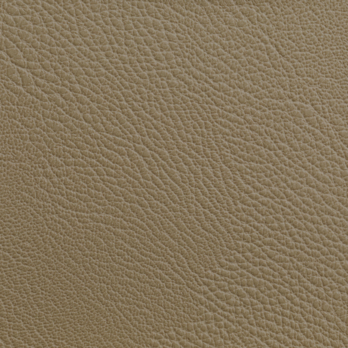 Kravet RUSTLER CASHEW Upholstery Fabric