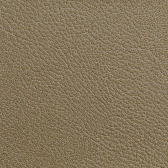 Kravet RUSTLER CASHEW Upholstery Fabric