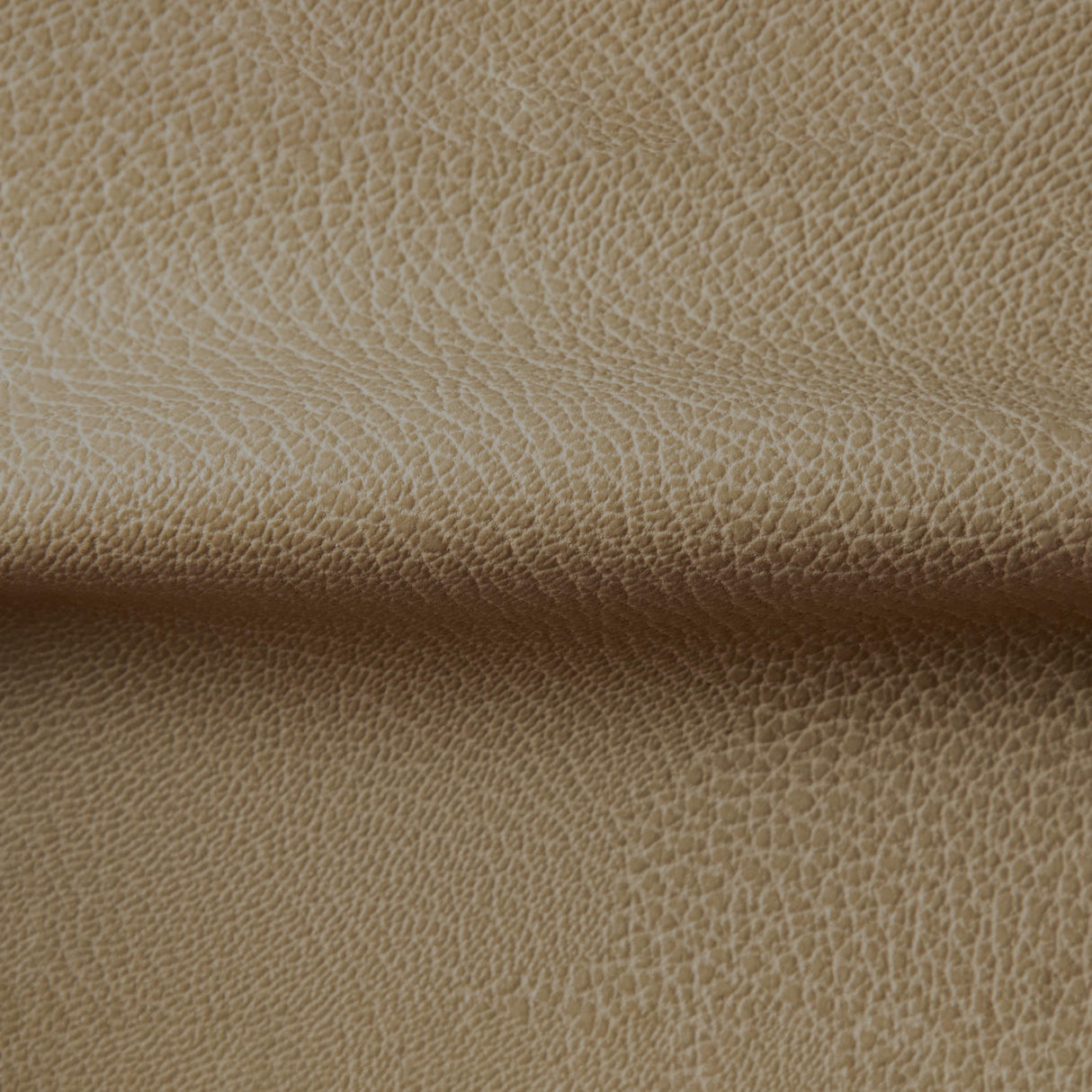 Kravet RUSTLER CASHEW Upholstery Fabric