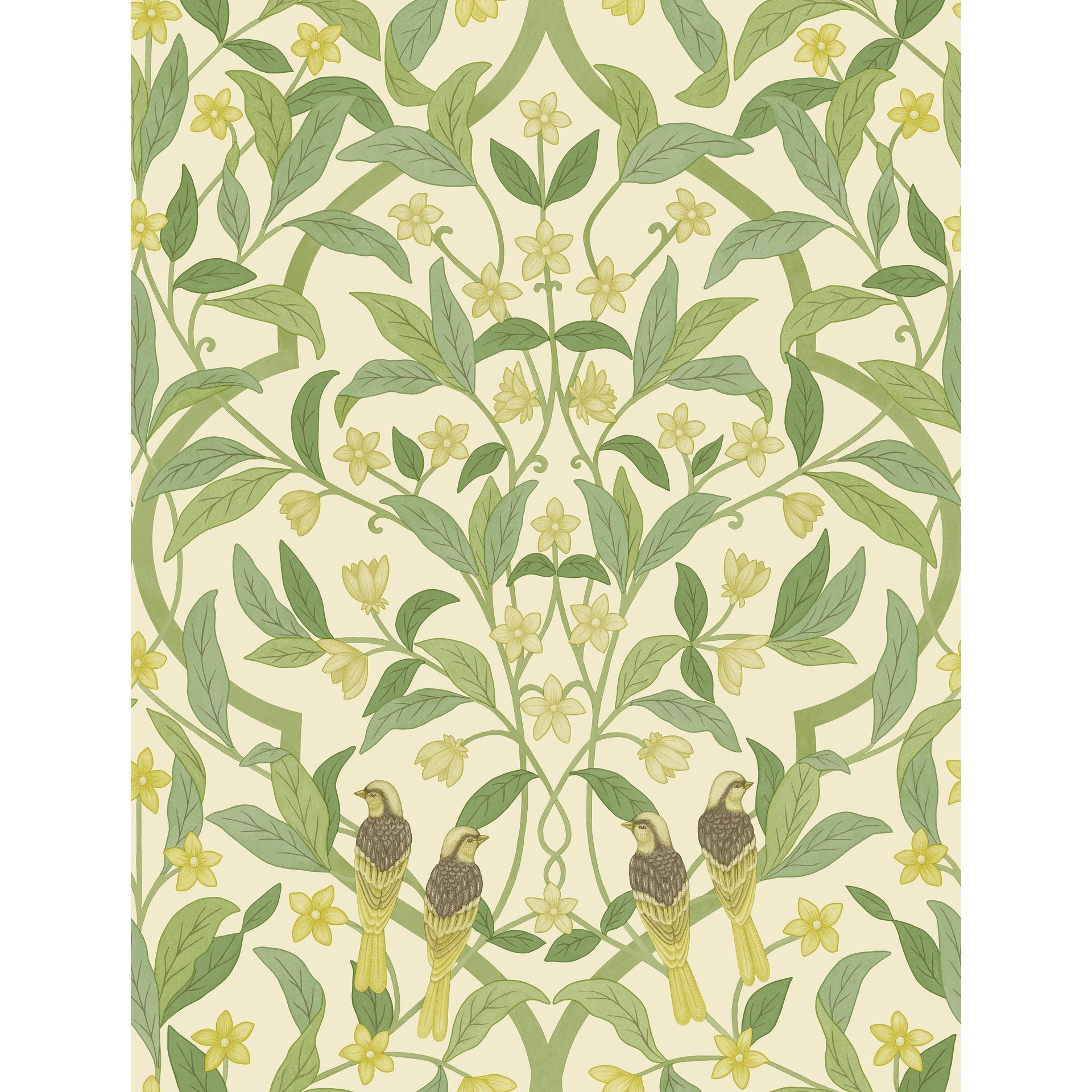 Cole & Son Jasmine & Serin Symphony Chartreuse/Grn/Wt Wallpaper