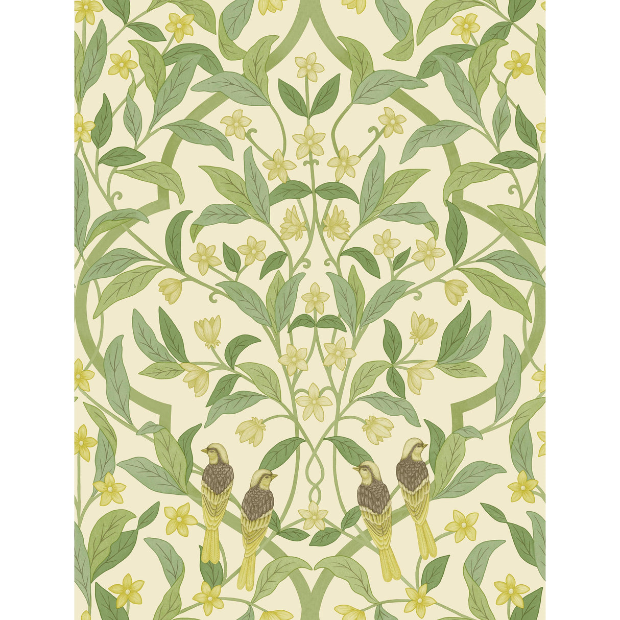 Cole & Son JASMINE & SERIN SYMPHONY CHARTREUSE/GRN/WT Wallpaper