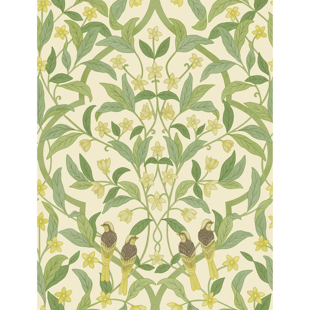 Cole & Son JASMINE & SERIN SYMPHONY CHARTREUSE/GRN/WT Wallpaper