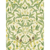 Cole & Son JASMINE & SERIN SYMPHONY CHARTREUSE/GRN/WT Wallpaper