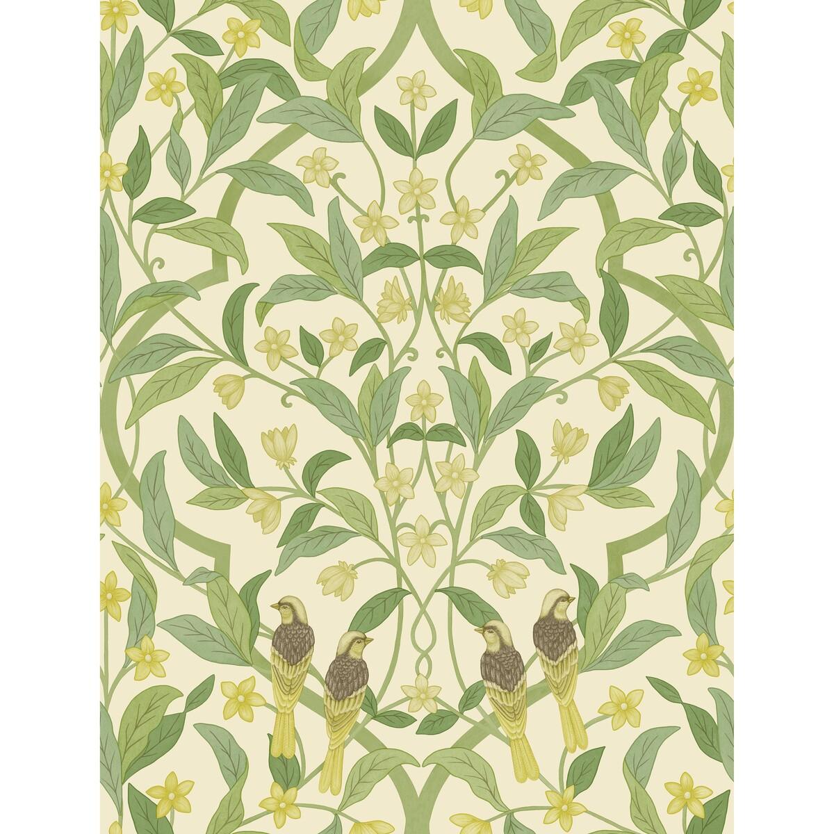 Cole & Son Jasmine & Serin Symphony Chartreuse/Grn/Wt Wallpaper