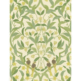 Cole & Son Jasmine & Serin Symphony Chartreuse/Grn/Wt Wallpaper