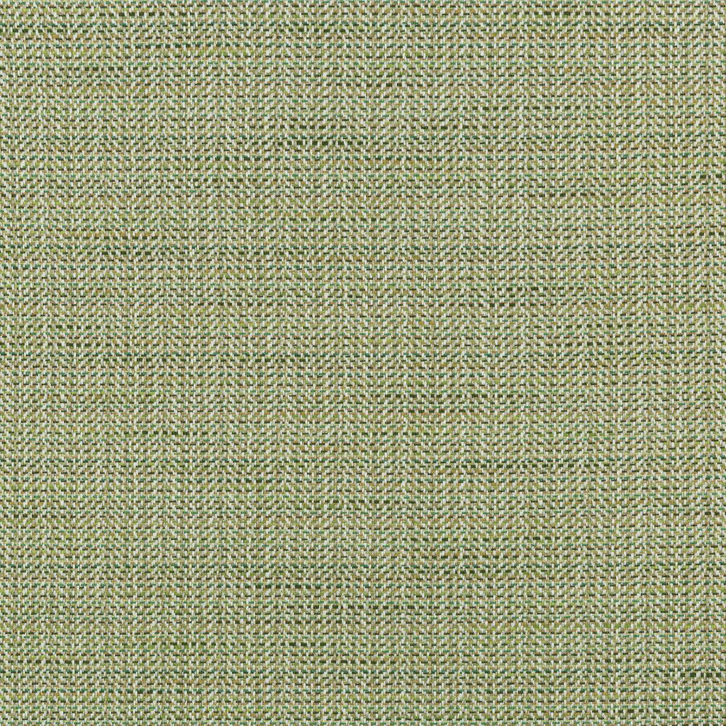 Kravet KRAVET SMART 35963-314 Fabric