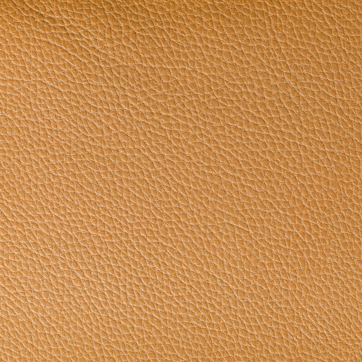 Kravet BOONE BUCK Upholstery Fabric