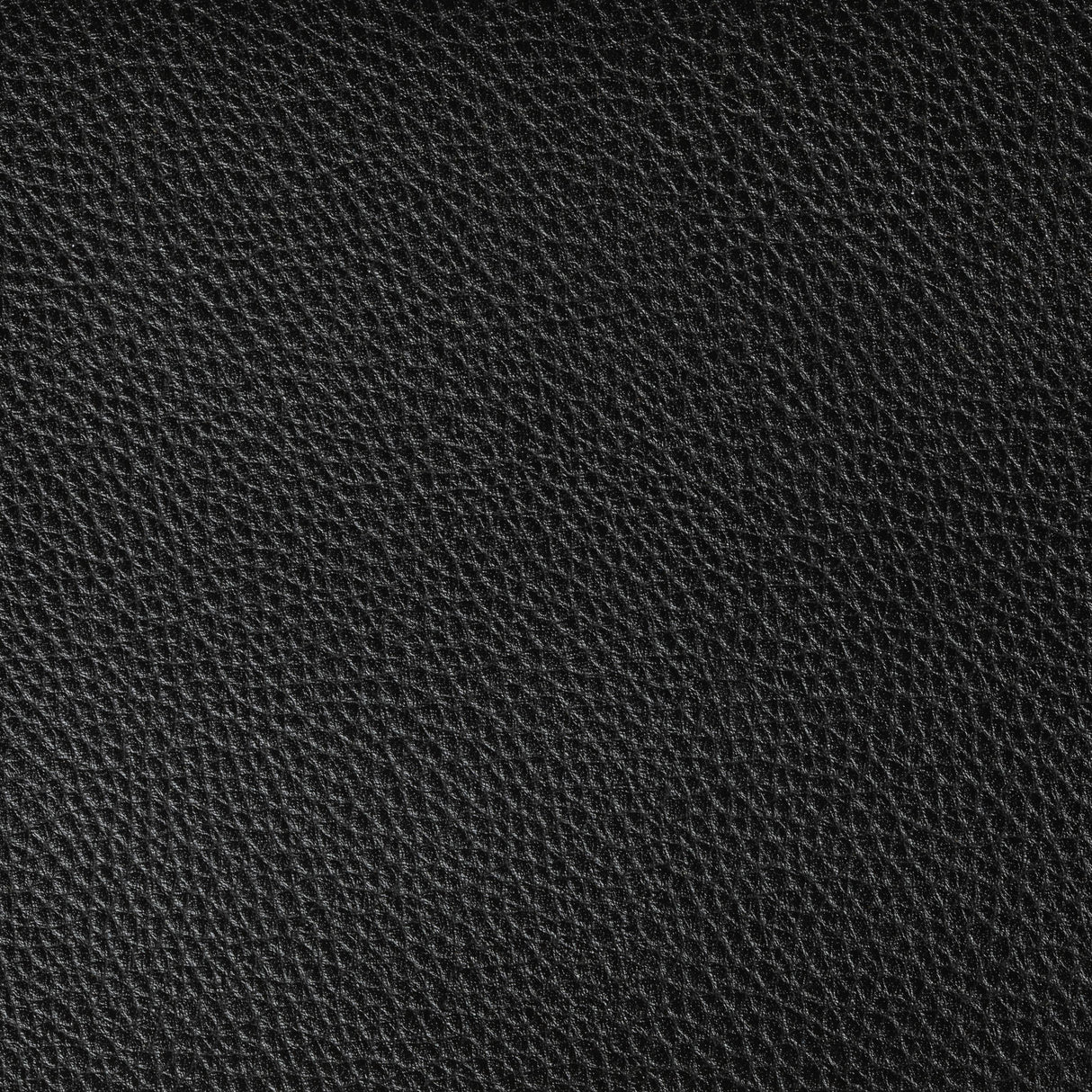 Kravet BOONE STALLION Upholstery Fabric