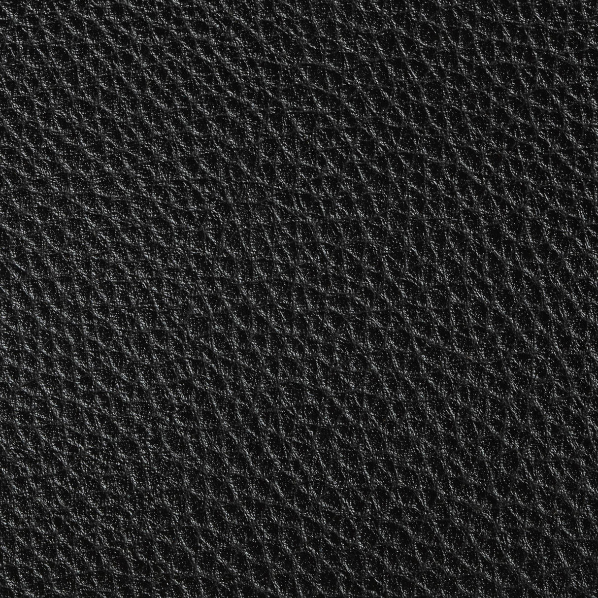 Kravet BOONE STALLION Upholstery Fabric