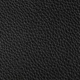 Kravet BOONE STALLION Upholstery Fabric