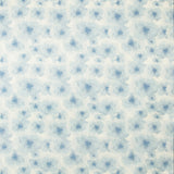 Kravet MANDERS SKY Fabric