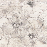 Kravet W-AYRLIES GREIGE Wallpaper