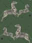 Scalamandre Zebras | Removable Serengeti Green Wallpaper